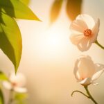 5 ключевых критериев выбора солнцезащитного крема для лица